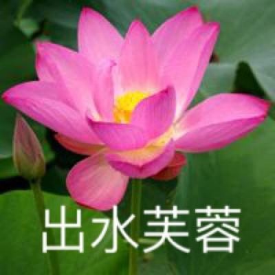 蛮荒日记无限资源版下载